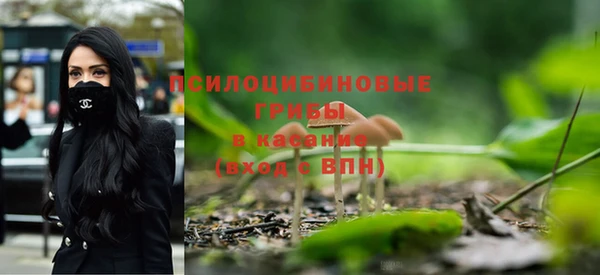 тгк Усинск