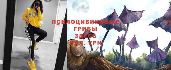 герыч Покровск